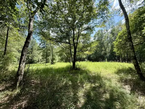 Vinegar Bend Hunting and Timber