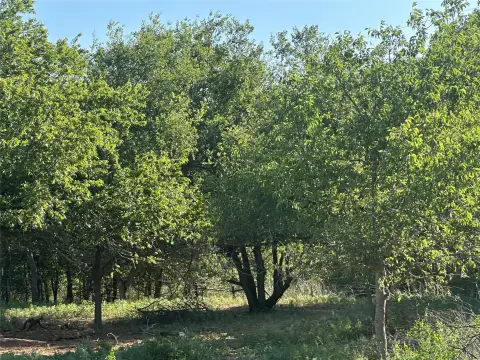 Agricultural Land with Water Wells