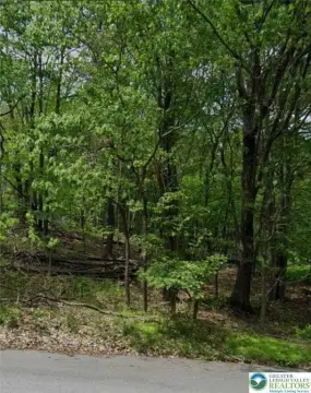 Vacant Lot Near Camelback Mountain