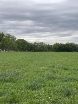 Agricultural Land with Pecan Trees