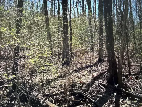 Crossville Land with Development Potential