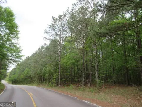Wooded Land with Road Frontage