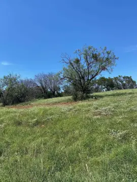 Residential Homesite with Mature Trees