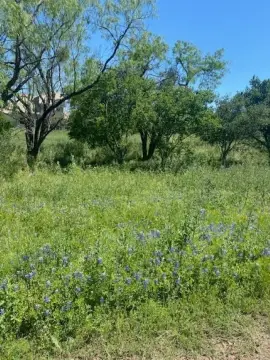 Hill Country Homesite Land