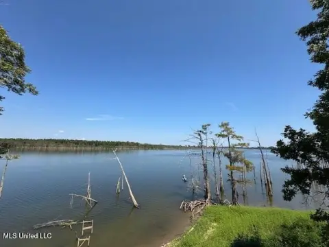Waterfront Lot in Woodville, MS
