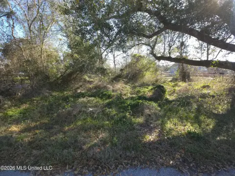 Land Near Beach in Pass
