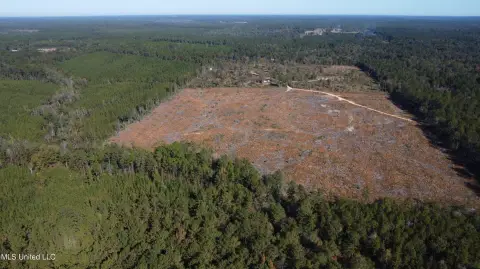 Secluded 40 Acres in Leakesville