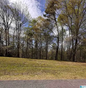 Residential Lot Near Lake Wedowee