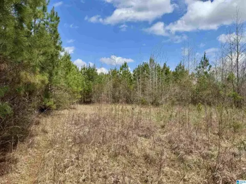 Tallassee Acreage: Recreation, Homesite, Hunting