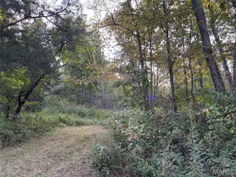 Wooded Recreation Land