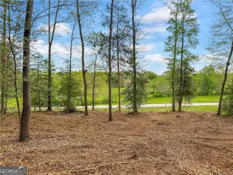 Gated Estate Farm Lot