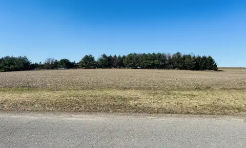 Residential Land in Peach Ridge