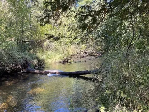 Little Manistee River Land Parcel