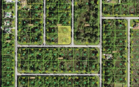 Oversized Lots in Port Charlotte
