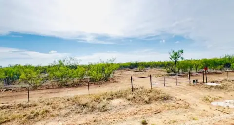 50 Acres of West Texas Land