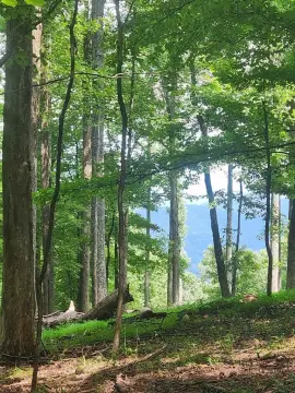 Ellijay, GA Vacant Lot