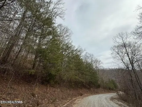6.2 Acres Wooded Land