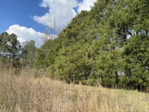 Vincent, AL Vacant Land