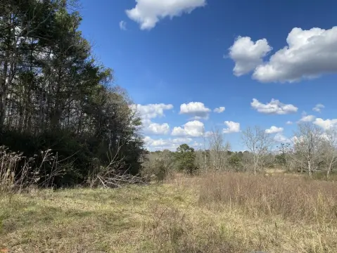 Vincent, AL Vacant Land