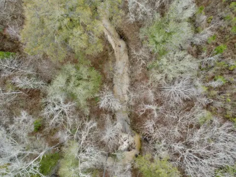 Land for Hunting and Timber