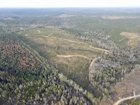 Rockville Hunting and Timber Investment