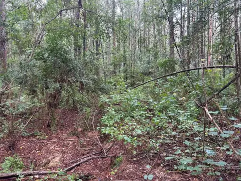 Ethel, LA Vacant Land