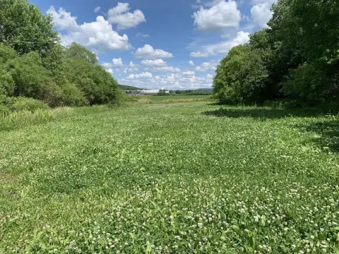 Versatile Land Near Susquehanna River