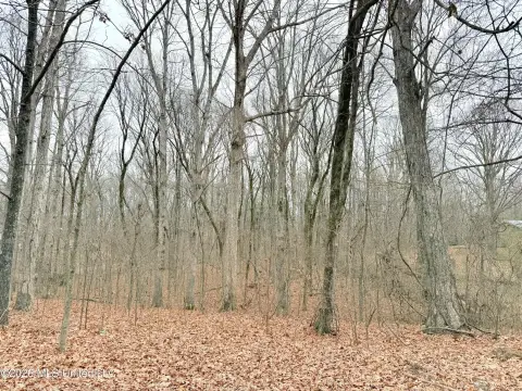 Three Acre Homesite in Senatobia