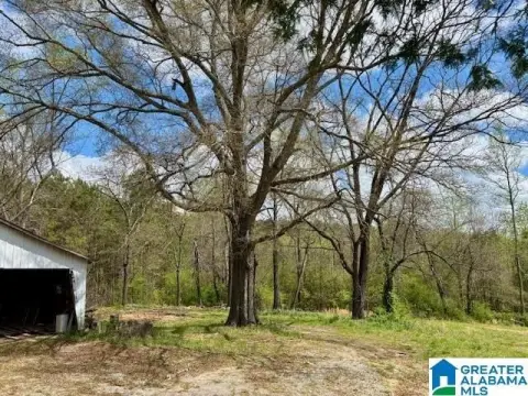 CULLMAN Acreage Homesite Opportunity