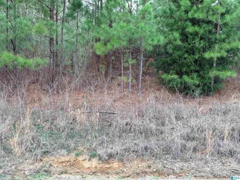 Proposed Commercial Corner Land