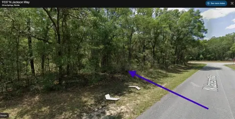 Residential Lot in Citrus Springs