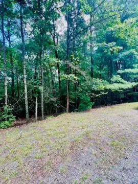 Ellijay Buildable Lot For Sale