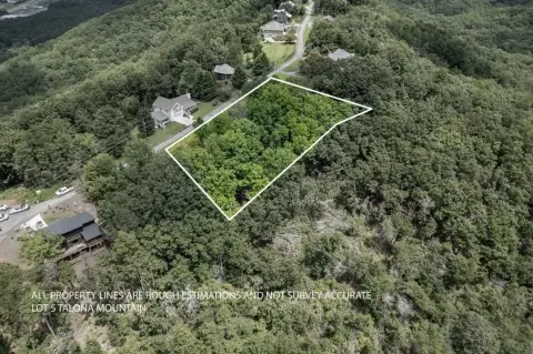 Ellijay, GA Wooded Lot