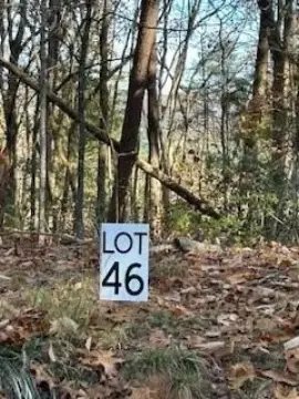 Dawsonville Land with Mountain Views