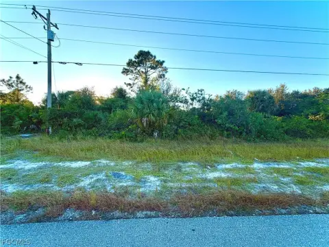 Residential Land in Lehigh Acres