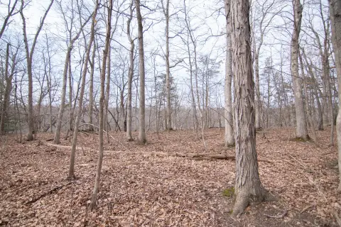 Buildable Lot in Matthaei Farm