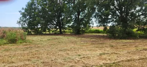 Agricultural Land with Cypress Pond