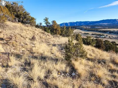 Canon City Land with Views