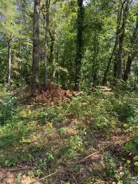 Land with Road Frontage