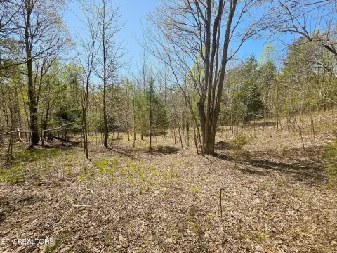 Private Land in Lone Mountain