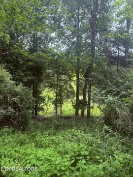 Unrestricted Land Near Norris Lake