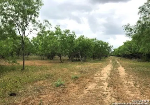 Undeveloped Land Near Loop 1604