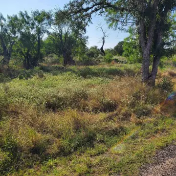 Adjoining Residential Lots