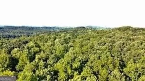 39.81 Acres in Dawsonville, GA