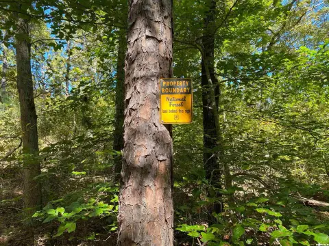 Recreation Land with Creek