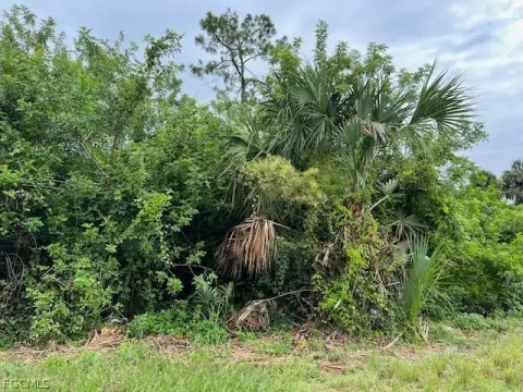 Lehigh Acres Land Opportunity