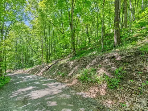 Wooded Mountain View Home Lot