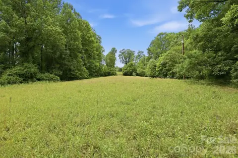 Land Near Brevard with Creek