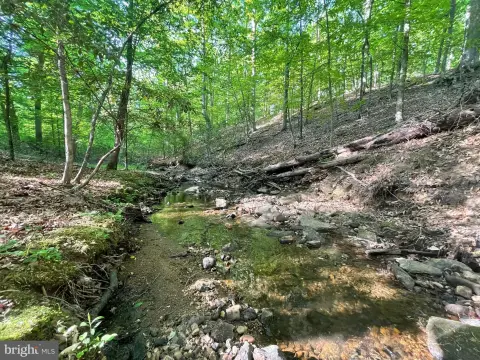 Secluded Homesite with Historic Charm