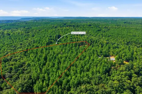 Hunting Land on South Pittsburg Mountain
